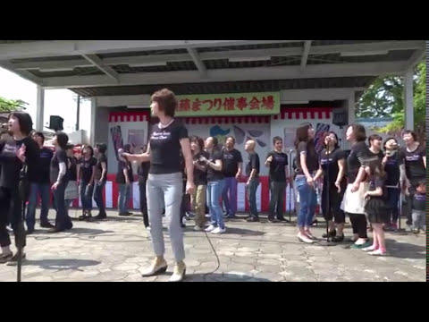 2016年5月1日江南藤まつり