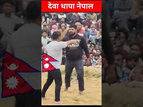 #bollywood #kushtidangal #devathapa #shortsvideo #wrestlingcompetition #song #15august #kushti