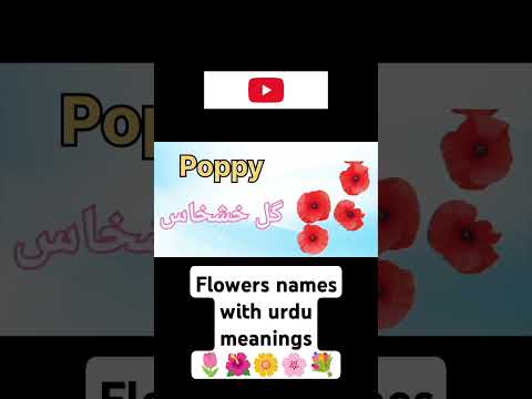 Flowers names with urdu meanings | Phoolun ke naam hindi | پھولوں کے نام اردو میں |#flowers #foryou