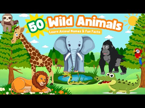 50 Amazing Wild Animals for Kids | Learn Animal Names & Fun Facts