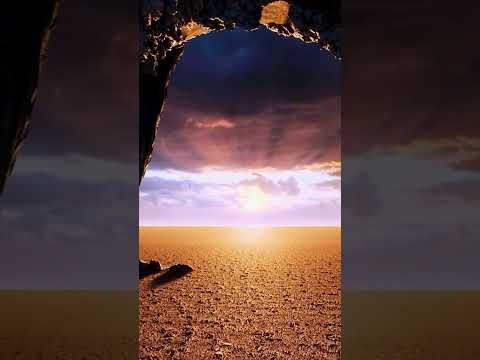 Ethereal Dreams | Embrace Relaxation