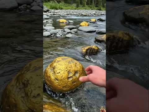 Gold Quartz In Nature🪙😮  #golddiscovery #treasureg #gold #goldrush #goldnugget #goldmining