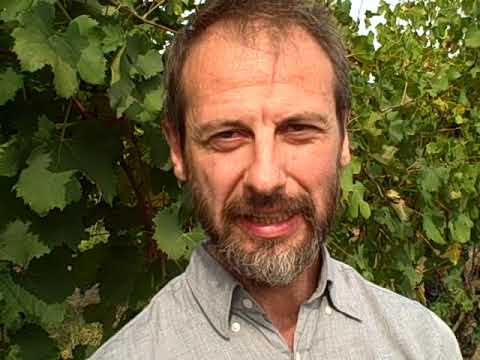 DBGitalia with F.lli Alessandria as they harvest Monvigliero, Oct'19