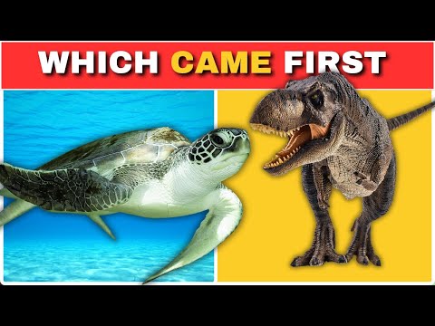 🧠 Which Came First? | Mind-Bending Quiz Challenge! ⏳⚡#quizcrime #gkquiz #viralquiz #viralvideo #quiz