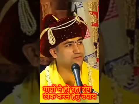 गायों मे रोग के उपचार के लिए गुरु जी ने बताया उपाय