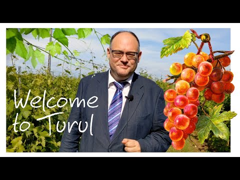 Welcome to Turul!