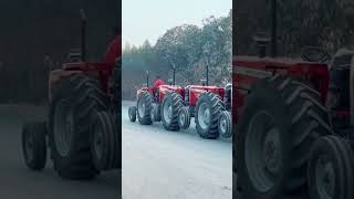 Massey ferguson 385 #tractor #tractorvideo #tractors #masseyferguson