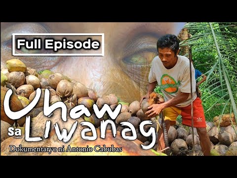 Uhaw sa Liwanag | Dokumentaryo ni Antonio Cabubas