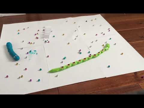 Tyler’s snake game stop motion