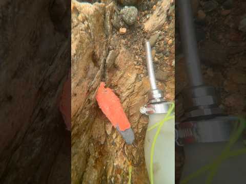 Biggest nugget so far this year 🥳 #goldpanning #goldprospecting #goldnugget