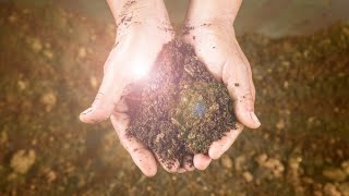 17 Composting Tips Every Gardener Needs