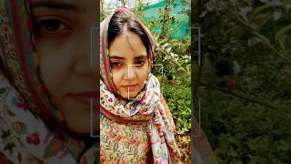 Kashmir #kashmirapple #kashmirvalley #travel #trendingshorts