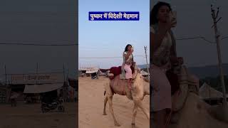 पुष्कर में विदेशी मेहमान #rajasthaniclture