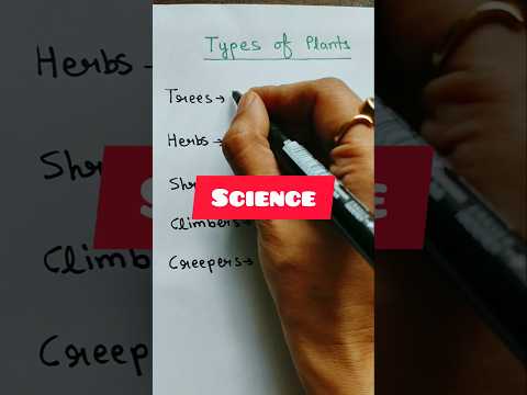 Types of plants #herbs #shrubs #plants #trees #science #evs #evsquestion #short #shortvideo #shorts
