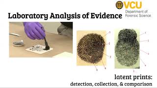 What is forensic science