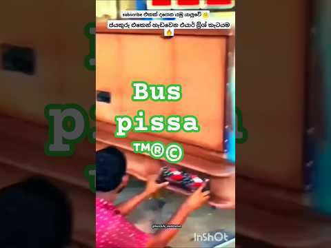 bus pissa ™®©