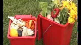 What to Compost - Composting Tips