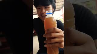 รีวิวน้ำท่อม