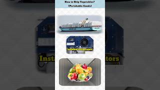 How to Ship Vegetables? ( Perishable Goods)