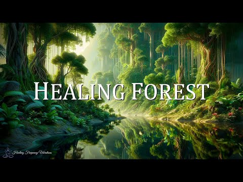 Healing Forest Ambience | 852Hz + 639Hz + 417Hz | Awaken Intuition, Attract Love, Release Negativ...