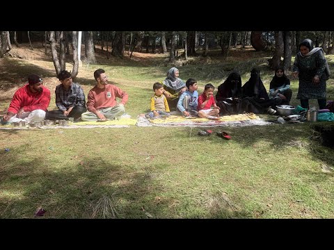 Family Picnic