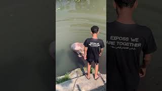 Momen tak terlupakan Idul Adha 2024 ! Part 1, apakah terselamatkan ? #fyp #viralvideo #funny #shorts