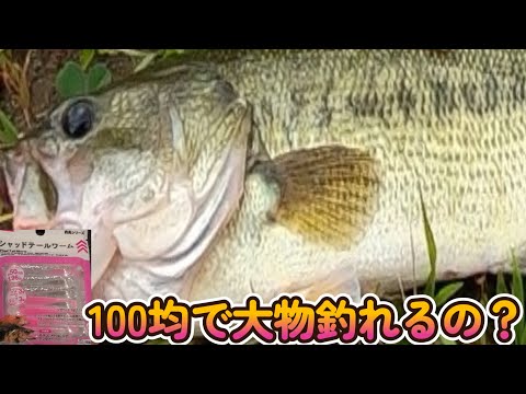 100均シャッドテールワームで