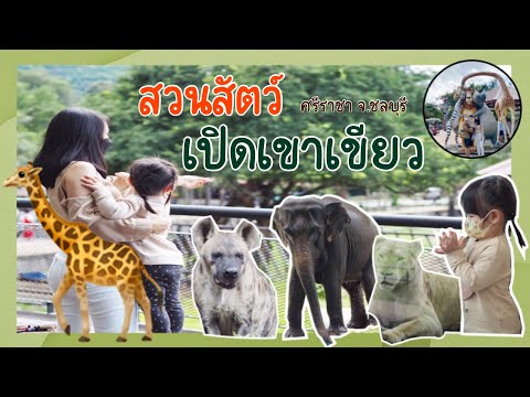 มาแตร์พาตะลุย สวนสัตว์เปิดเขาเขียว  | MT Family