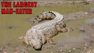 The Serial Killer Crocodile Who Killed 300 People and Didn't Eat Them