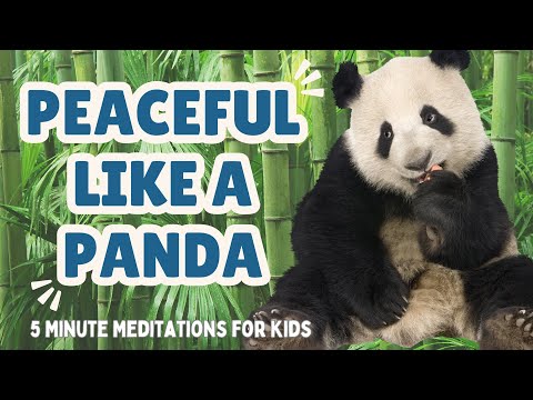 Peaceful Like a Panda- Mindfulness For Kids || 5 Minute Meditation For Kids to Calm Down