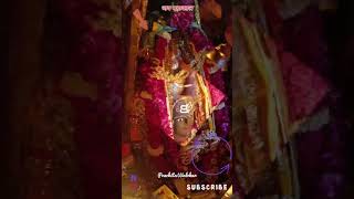 महाकाल जी के साक्षात दर्शन बोलो महाकाल की जय, एकादशी महापर्व #mahadev #bholenath #matarani #believe