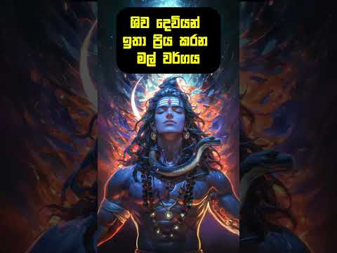 ශිව දෙවියන්ට මේ මල් පූජ කරලා ඔයාගේ පාර්ථනාව කියන්න! 🙏✨#shiva #mahadev #lagna #lagnapalapala
