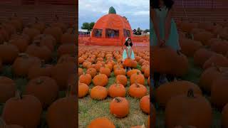 Enjoying the Pumpkin Patch 🎃🎃
