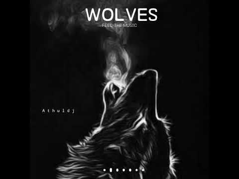 ANIMALS SONG || KARMA RYTHMZ || WHAT'S APP STATUS || BLAZE BGM