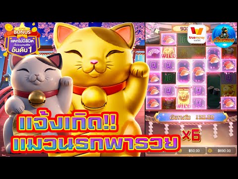 #เว็บตรง #สล็อตเว็บตรง #เว็บตรงไม่ผ่านเอเย่นต์ :แจ้งเกิด!! แมวนรกพารวย