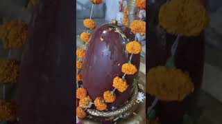 Shiv Shankar Ko Jishne Puja ll #anuradhapaudwal #mahadev #shiv #maa #ram #ytshorts #trending #viral