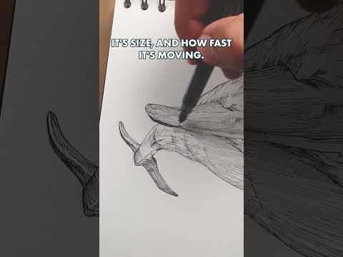 Proof of Dolphin genius