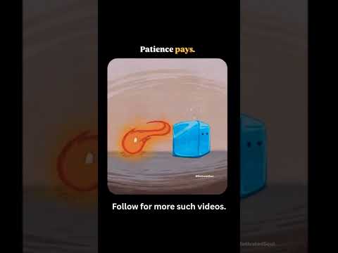 The Hidden Power of Patience #motivation #patience #trending