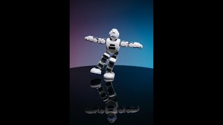 The Rise of Robots: How AI and Robotics Are Shaping the Future