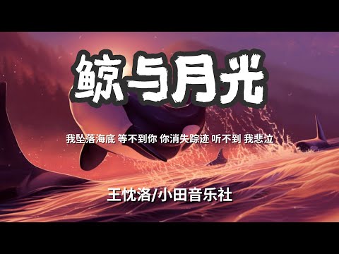 鲸与月光 - 王忱洛/小田音乐社 「我离开海底 去寻找你 你却没留下 任何的痕迹」 【动态歌词Lyrics】