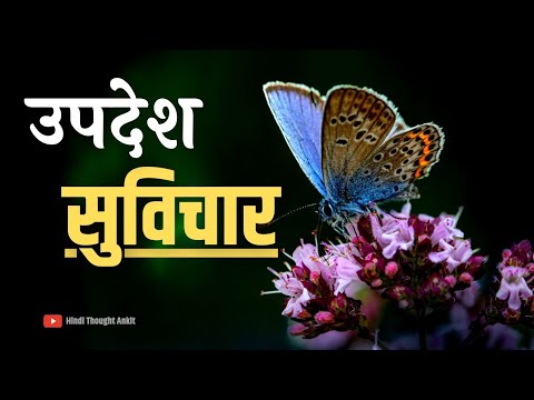 उपदेश सुविचार || Motivational video || Aaj ka Suvichar Status || Anmol Vichar || Hindi Thought