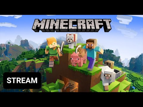 The Most INSANE Minecraft City!
