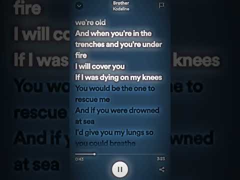 Brother - Kodaline #lyrics #spotify #kodaline #music #fypシ #shorts #brother #songlyrics #subscribe