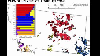 Hierarchical population structure in greater-sage grouse provides insight into management boundaries