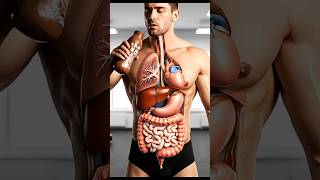 What Happens When You Drink Packaged Milkshakes? ⚠️ #seniorhealth #facts #3danatomy
