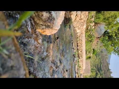 Nature sound - water flowing