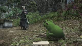 Crazy Antics | Final Fantasy XIV: Endwalker