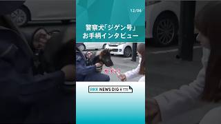 マイクを「カプッ！」お手柄警察犬にインタビュー　 #警察犬 #ジゲン号 #インタビュー #犬 #いぬ #ニュース  #news #熊本放送 #rkk