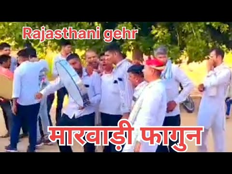 Marwadi fagan ll rajasthani fagun //#trending #song 🤩🤩  ??