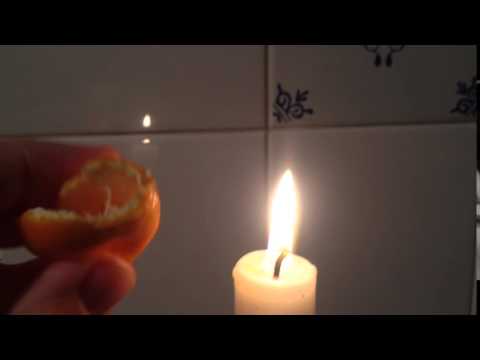 Experimenteren met... mandarijntjes!